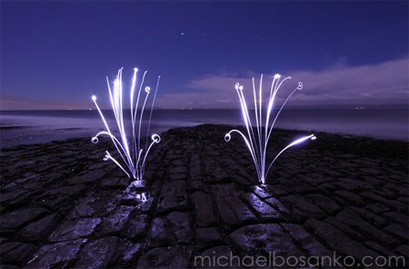 Botanical by Michael Bosanko Botanical by Michael Bosanko