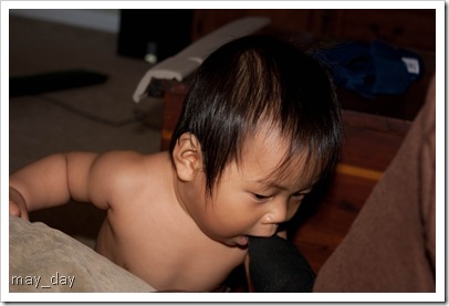 IMG_2347 IMG_2347