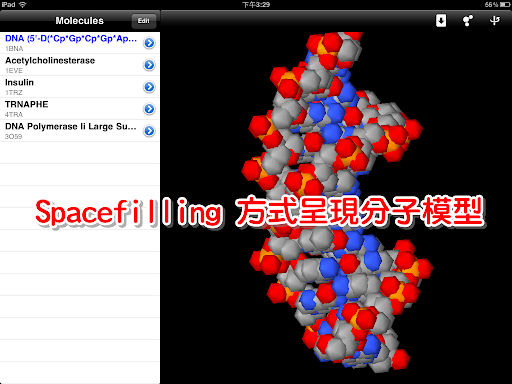 以 Spacefilling 方式呈現分子模型