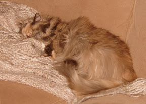 DSC00167.JPG
