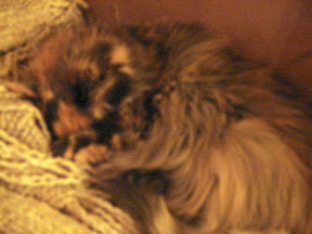 DSC00171.JPG