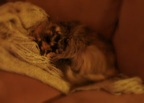 DSC00170.JPG