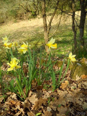 [DSCN13304.jpg]