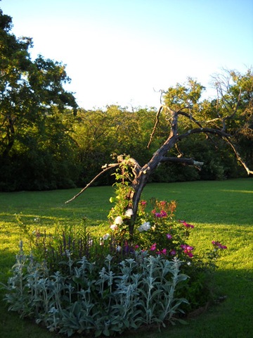 [DSCN29821.jpg]