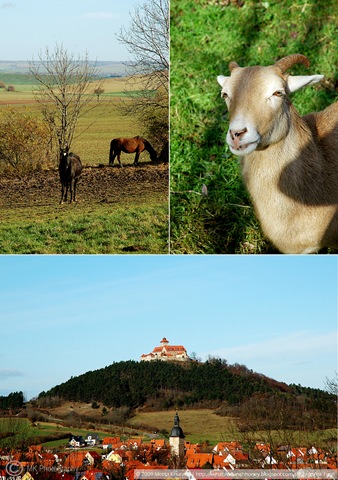 [3GleichenCollage01[2].jpg]