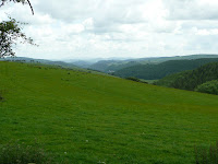 A distant view of Knighton from Glyndwr's Way