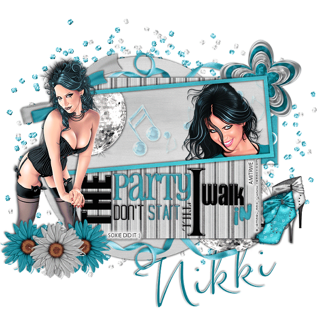 Party dont start Nikki