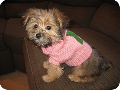 zoey zoey
