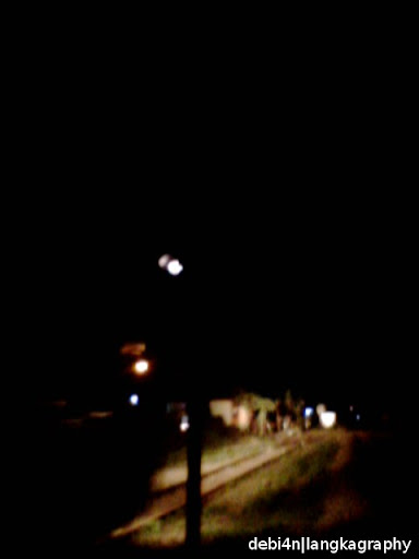 [Image: IMG0323A.jpg]