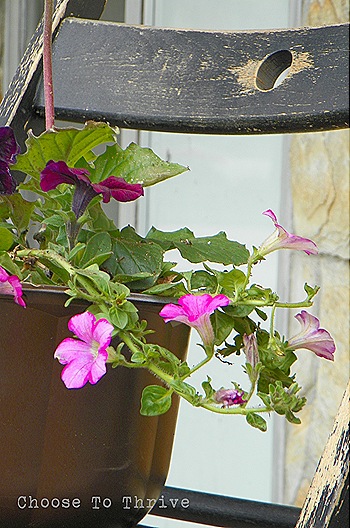planter.16b planter.16b