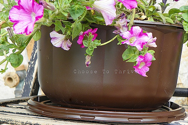 planter.18