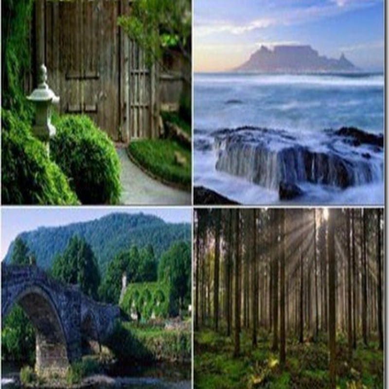 Nature WideScreen Wallpapers