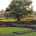 P1040885.JPG, Lumbini, Nepal: Birthplace of Buddha, October Travels: Nepal to Goa