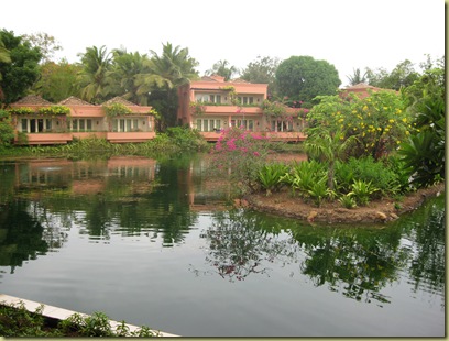 Room view