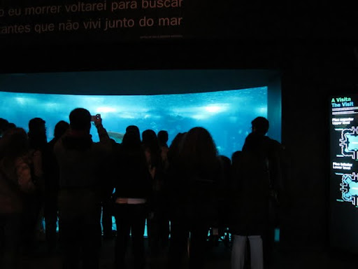 リスボン水族館