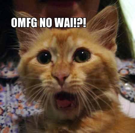 [omg[5].jpg]