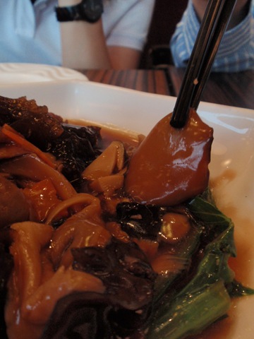 [P1230004[2].jpg]