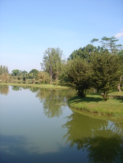 DSC09776