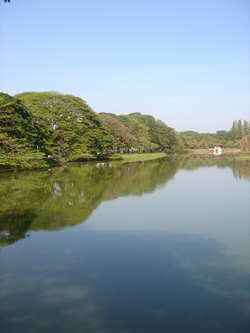 DSC09778