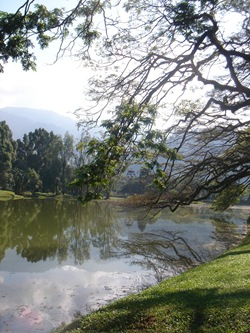 DSC09793