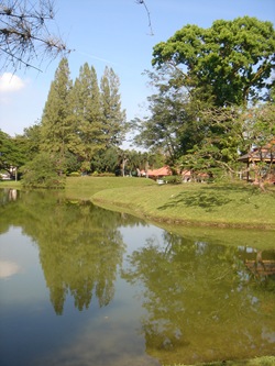 DSC09810