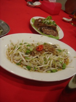 DSC05073