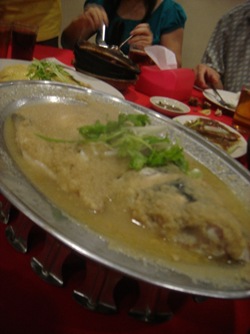 DSC05081