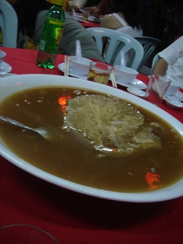 [DSC067092.jpg]
