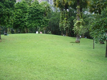 DSC08801