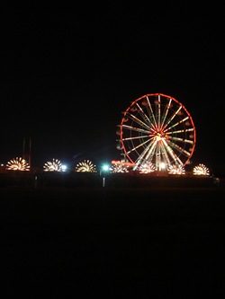 DSC00352