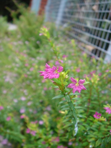 [DSC012902.jpg]
