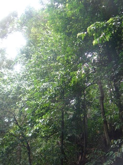 DSC01293