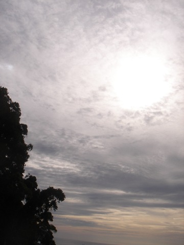 [DSC013245.jpg]