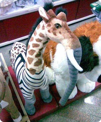 brinquedo10