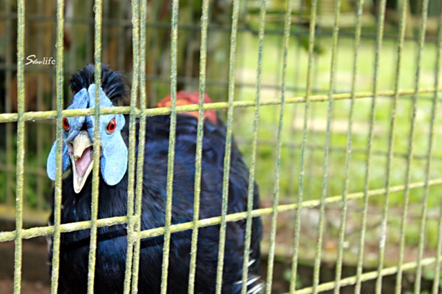 [IMG_9726copy2.jpg]