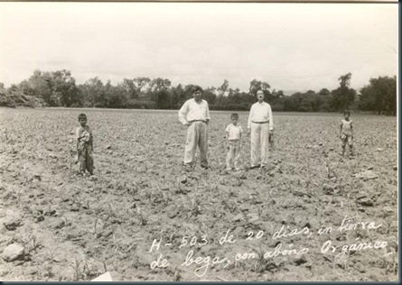 Agricultura