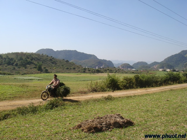 hinh%20anh%2033.jpg