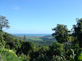 DSC00718.JPG
