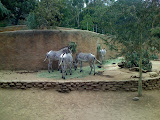 IMG_0121.JPG