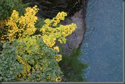IMG_0546 IMG_0546