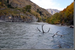 IMG_0814 IMG_0814