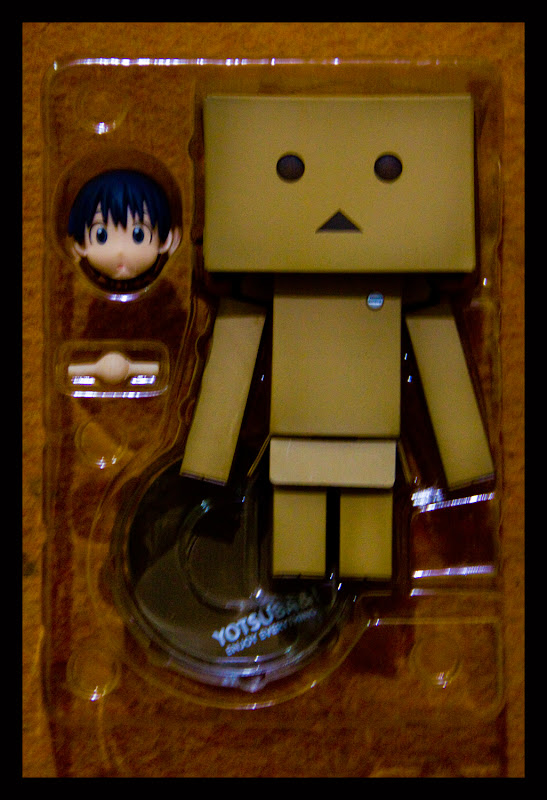 Inside Danboard (Miura Hayasaka in cardboard box suit)