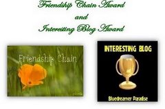 Friendship Chain Award and Interesting Blog Award dari Hartohadi dot com