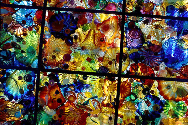 [chihuly1[2].png]