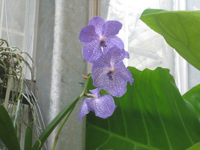 [IMG_30632.jpg]