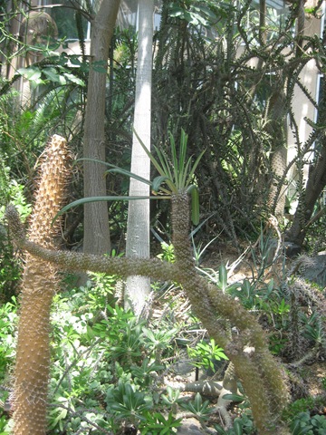 [IMG_30782.jpg]