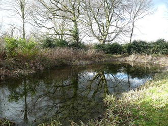 Castle Bromwich Hall Gardens