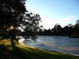 Croome park