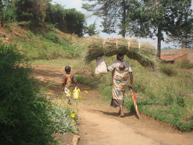 Nutritional Support for HIV-exposed Infants