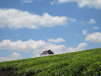  &ndash;                                 &ndash; 02-Nov-2009
